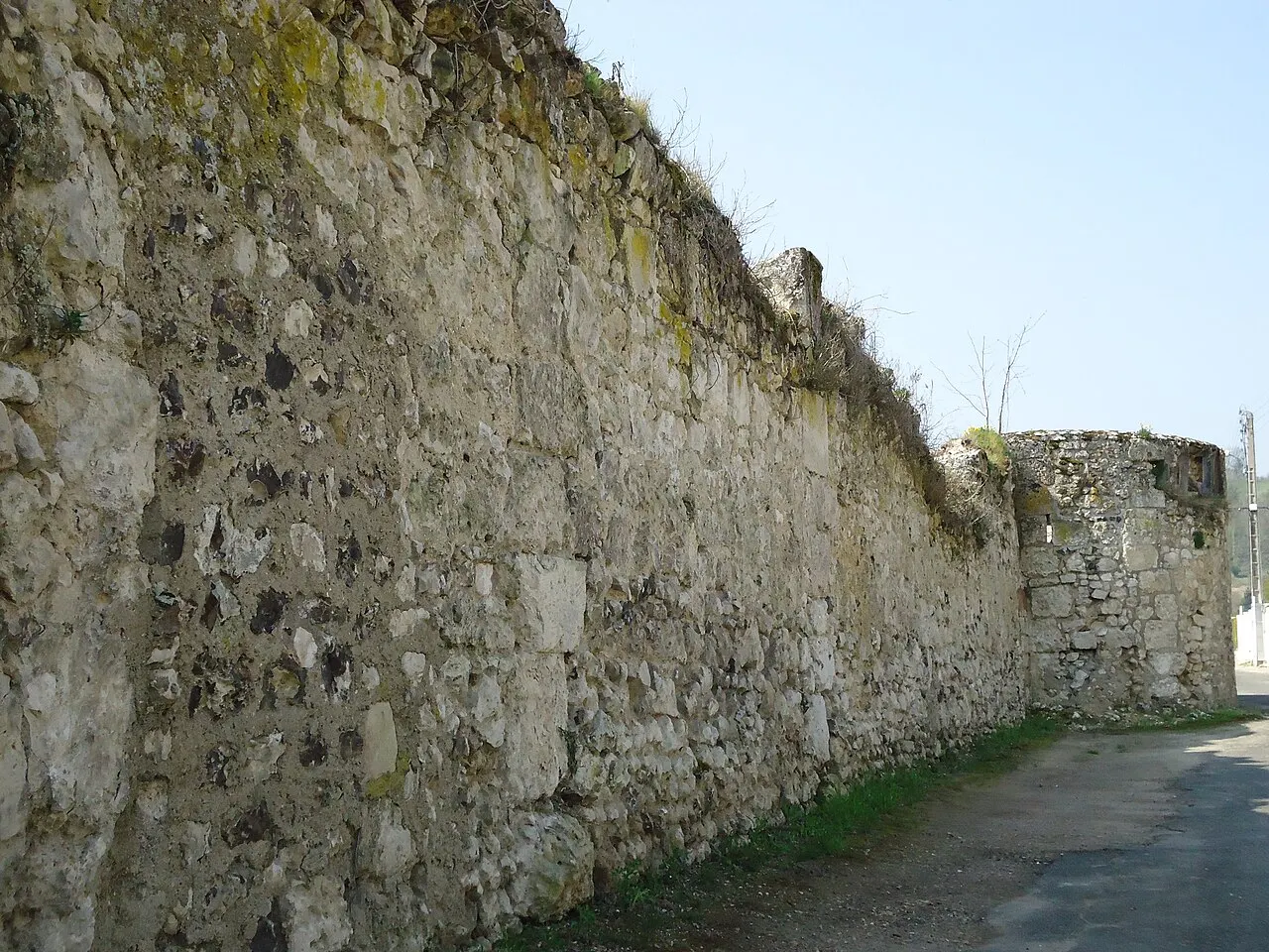Vestiges de l’enceinte du Grand-Andely