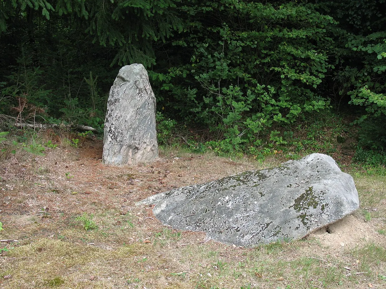 Deux mégalithes