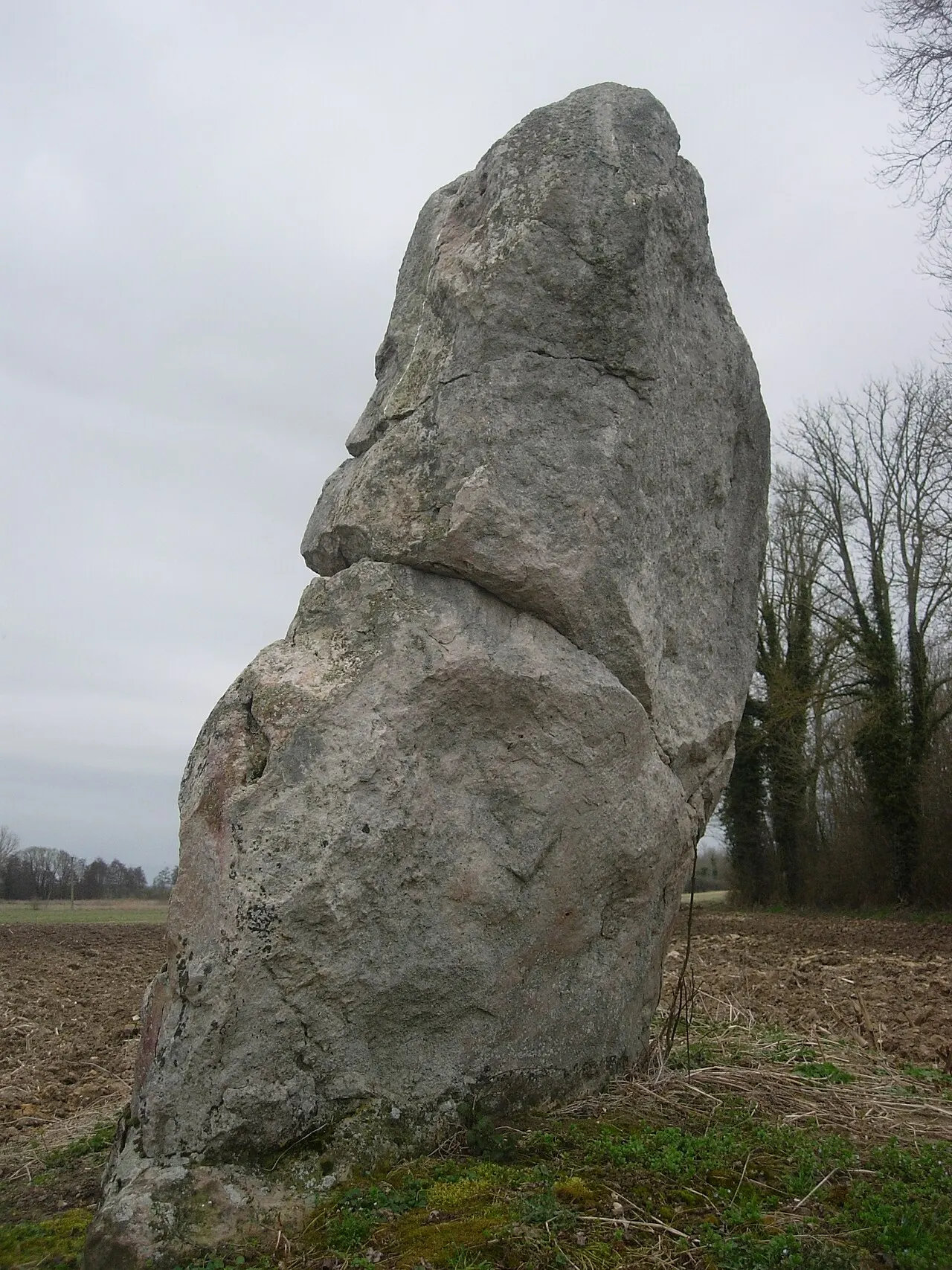 Menhir dit la Pierre au Coq