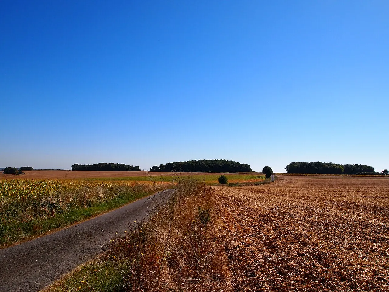 Tumulus dit Le Gros Dognon