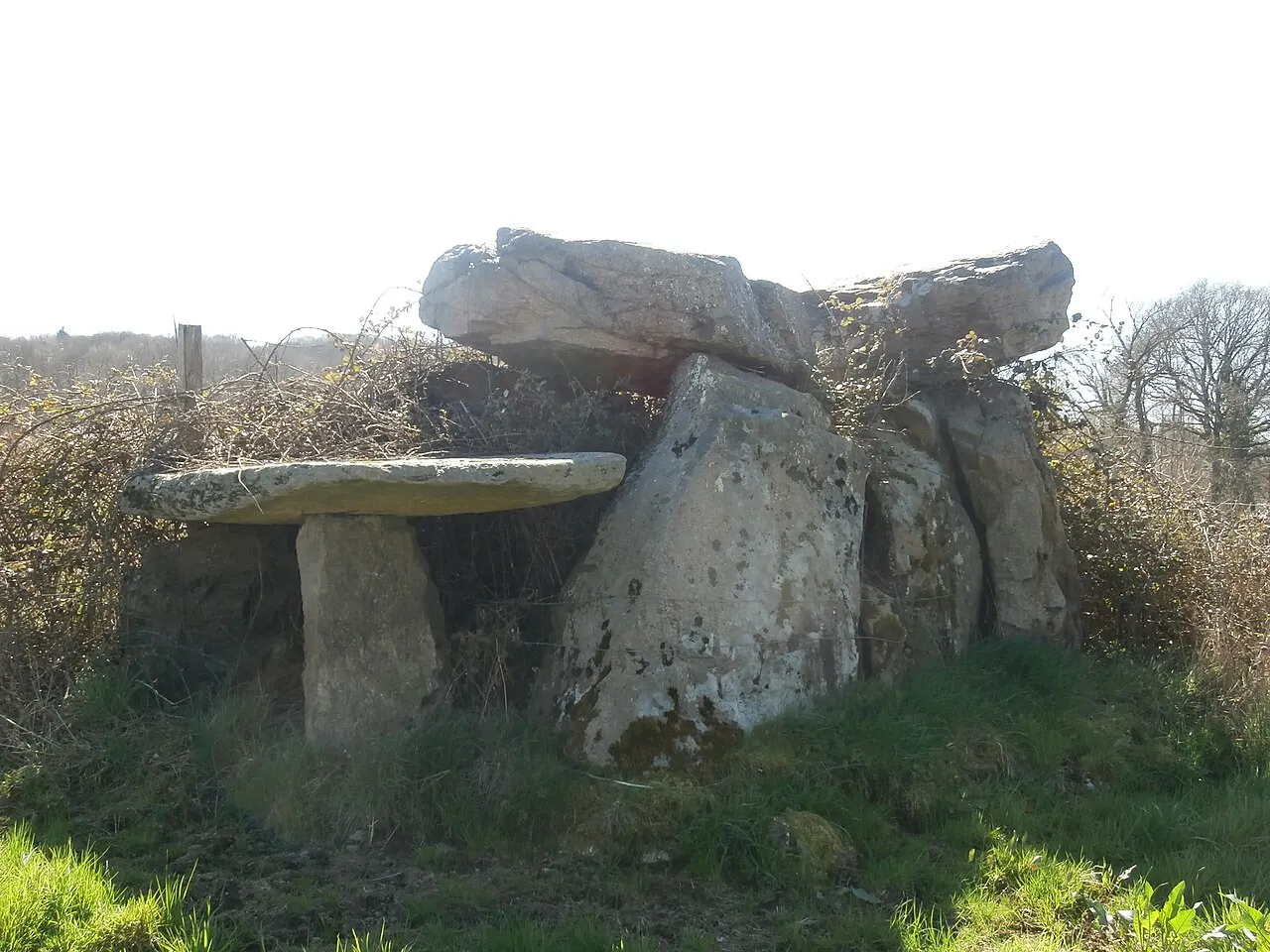 Dolmen dit La Pierre Cuberte