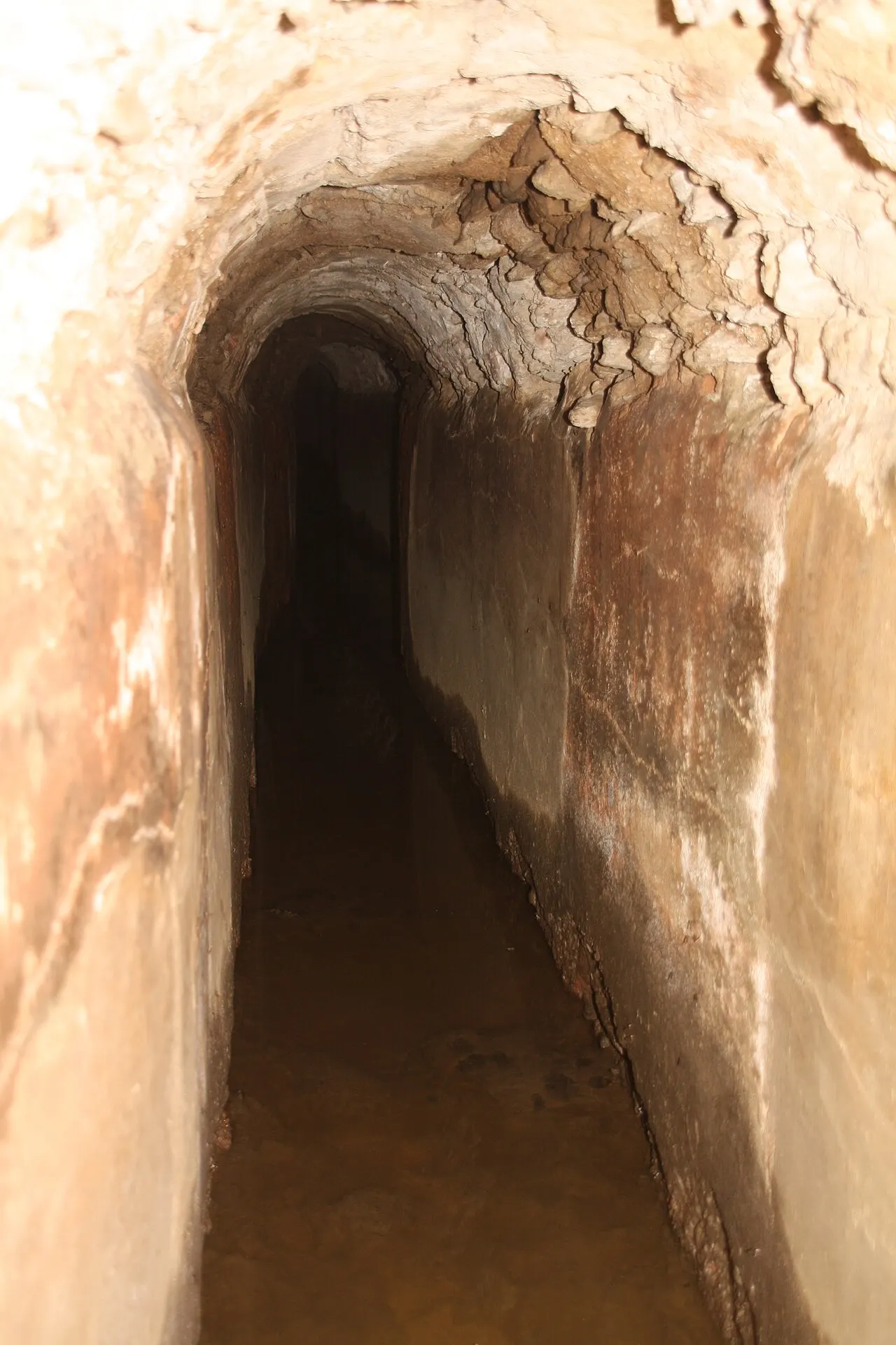 La Cave du Curé