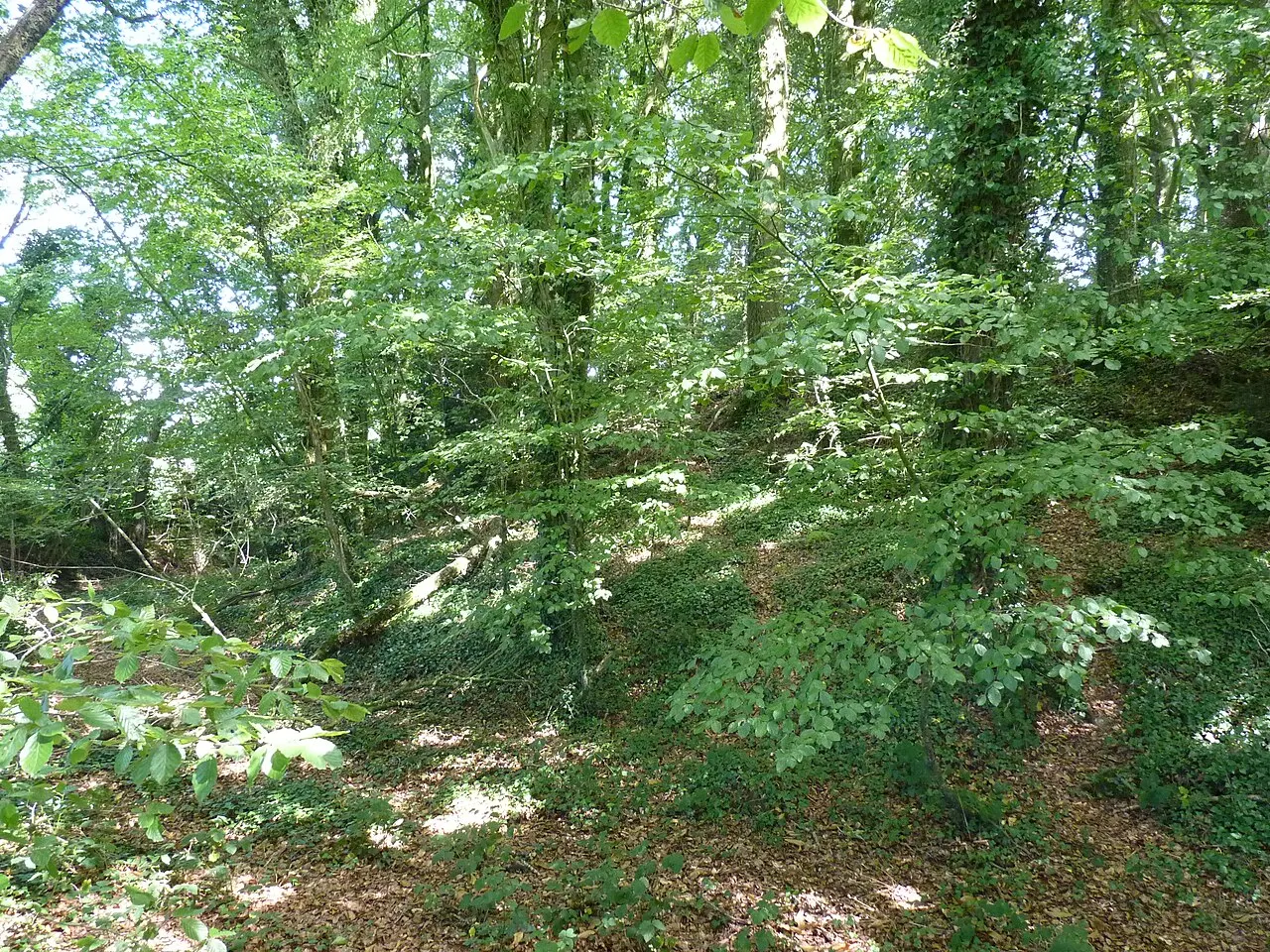 Tumulus dit An Dossen
