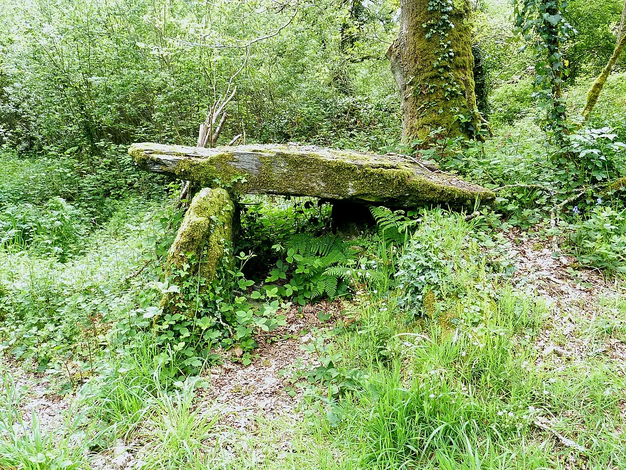 Allée couverte de Kervonlédic