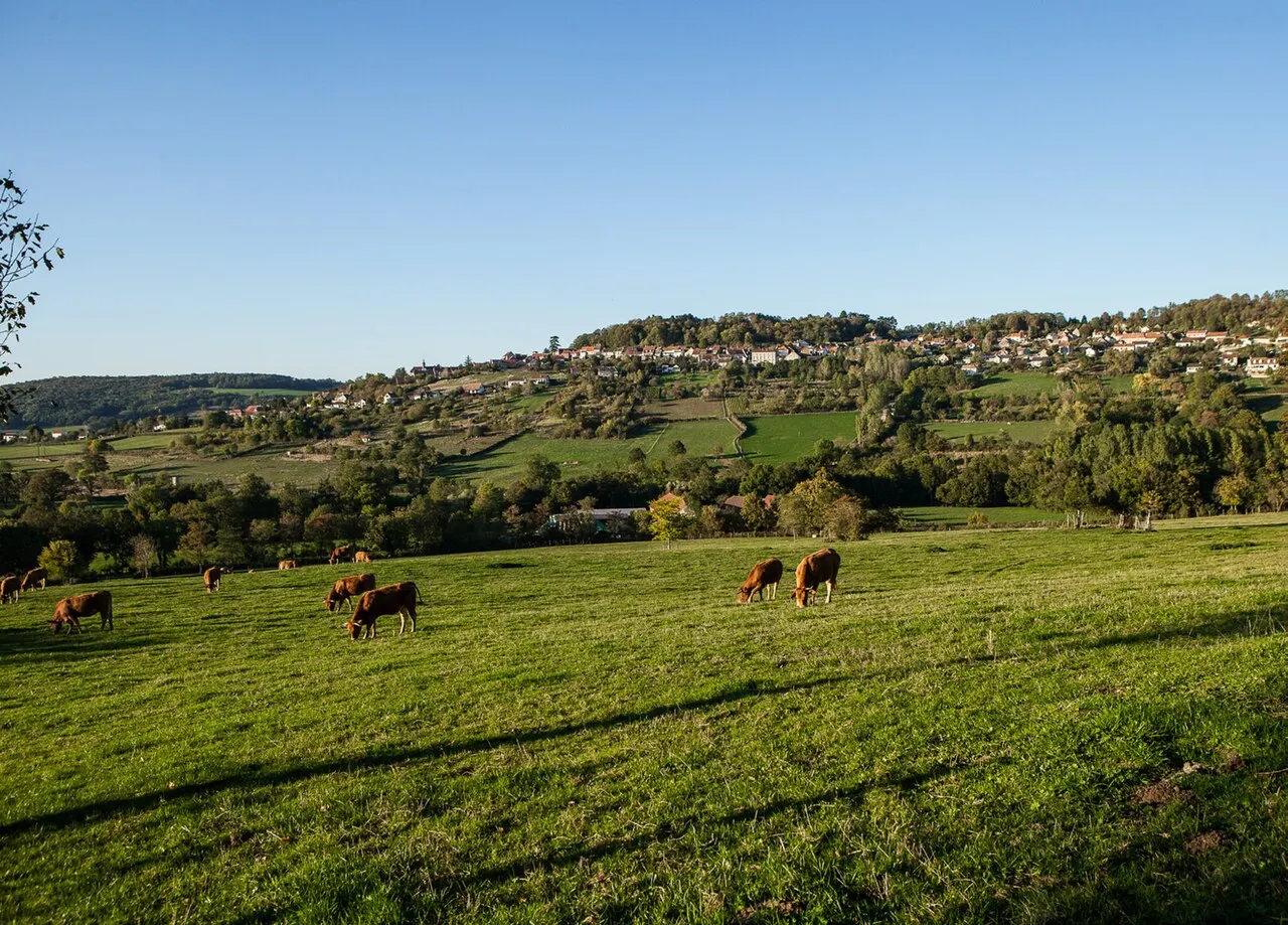 Alise-Sainte-Reine