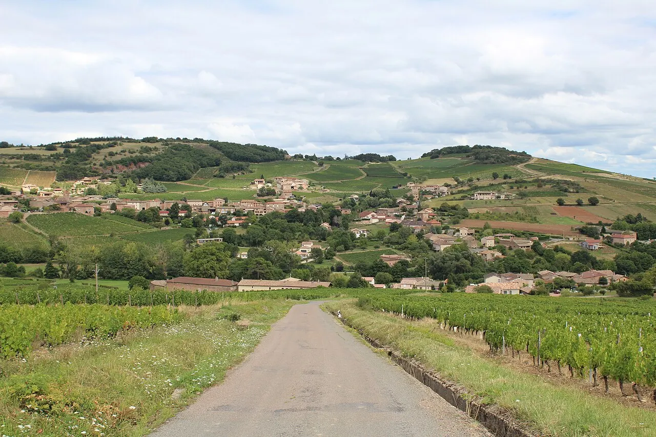 Leynes