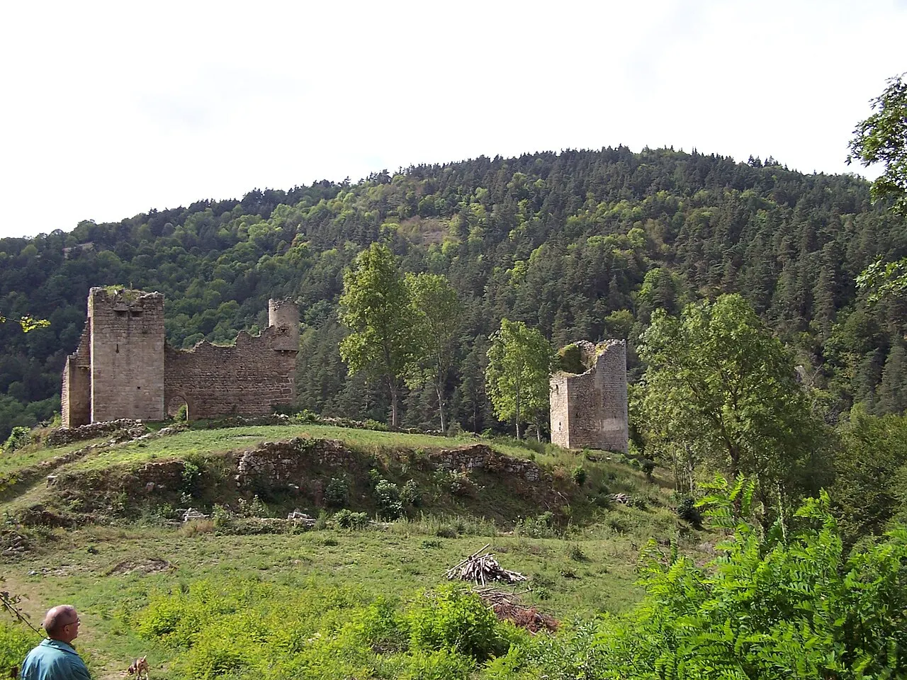 Vestiges du Château de Carry