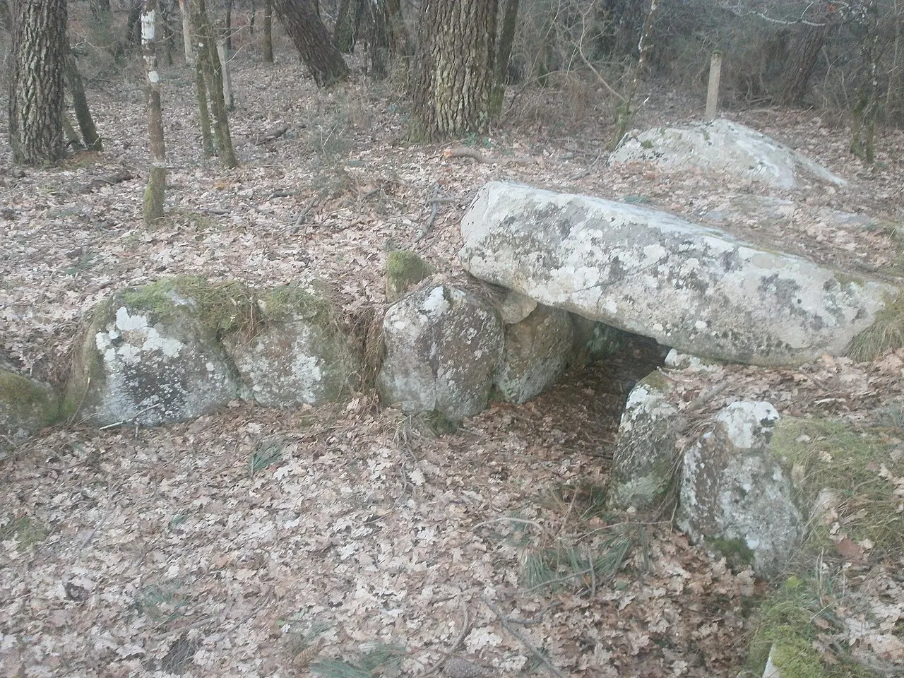 Dolmen à galerie de Mané-Brisil