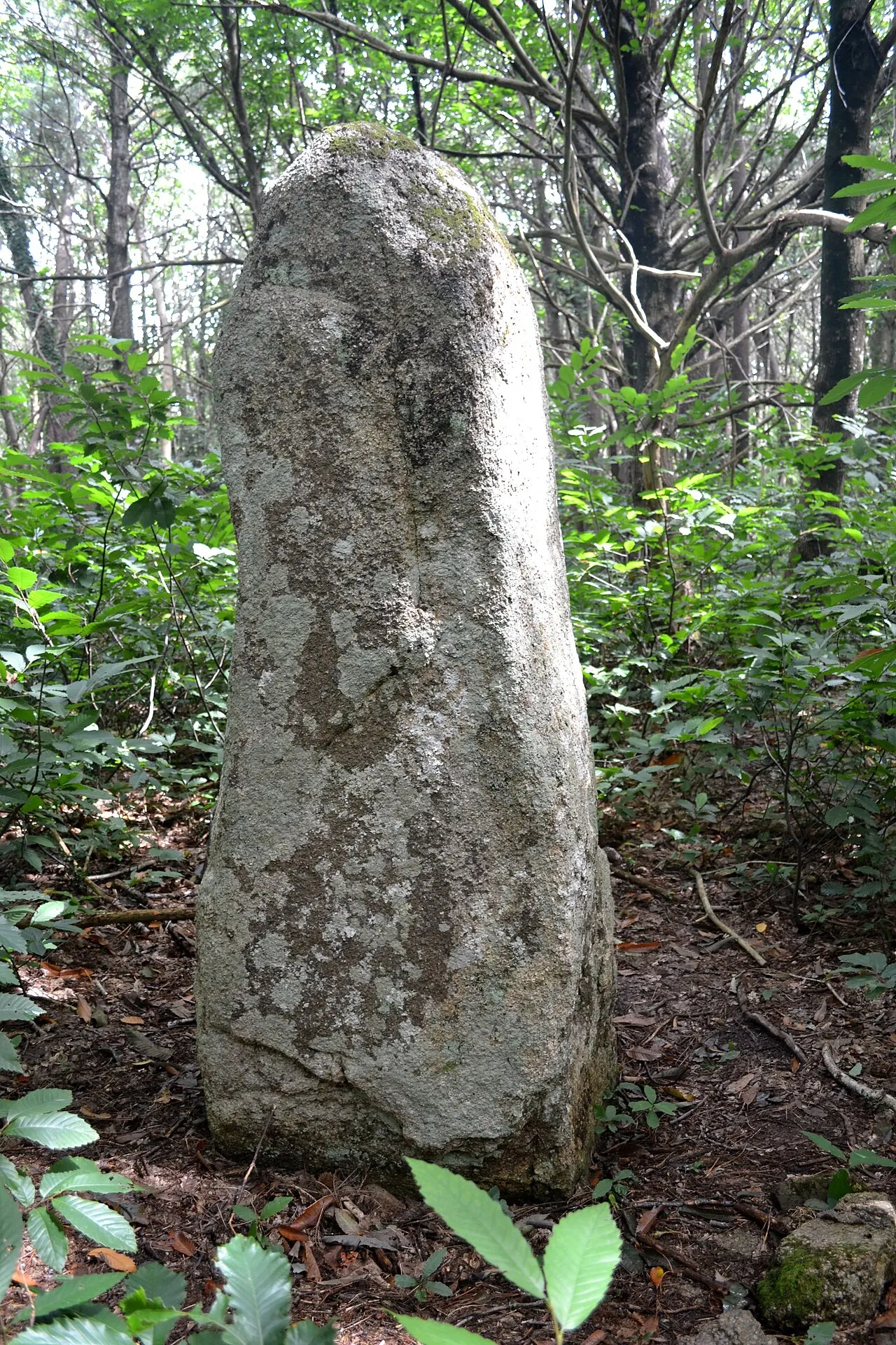 Menhir de Kergoulouët