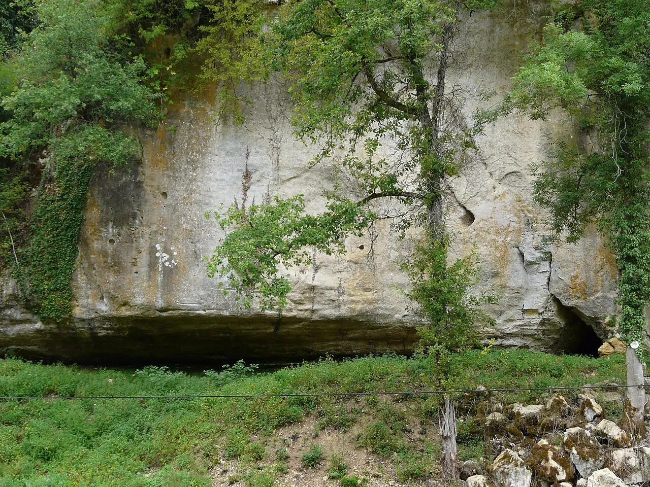 Site de Castel Merle : Abri Castanet