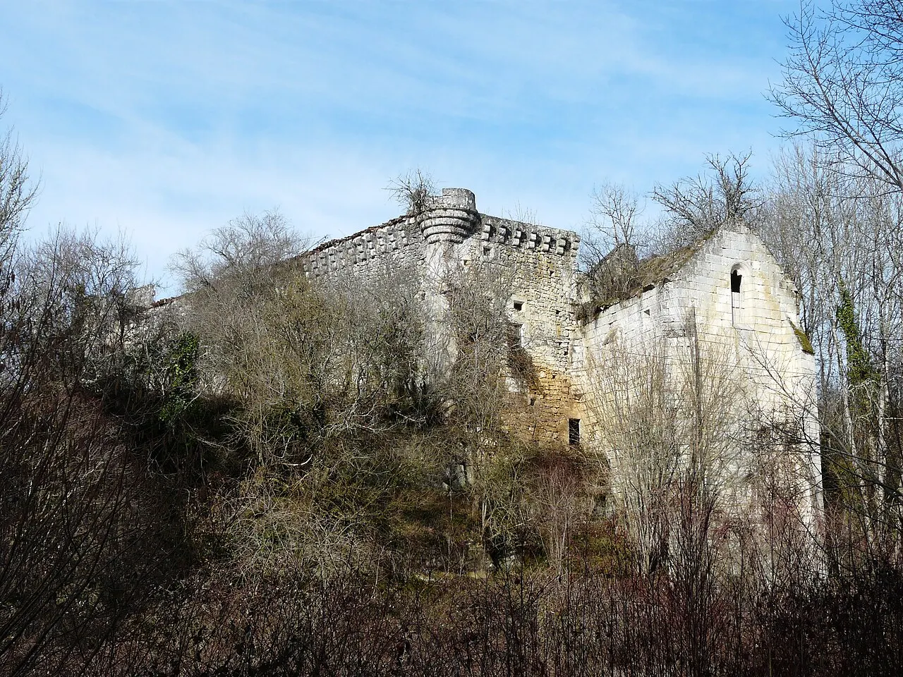 Ruines du château de Jovelle