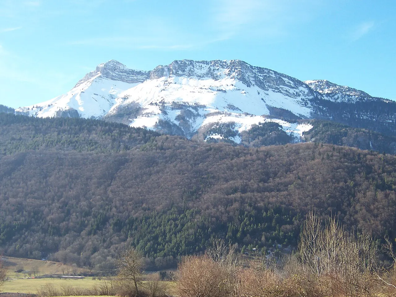 Colombier