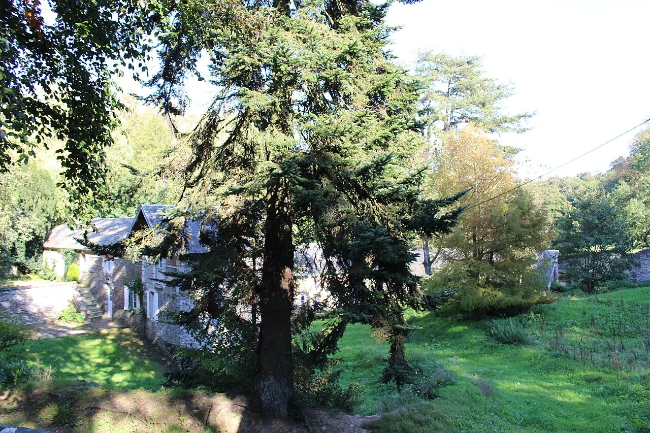 Domaine de Castillon