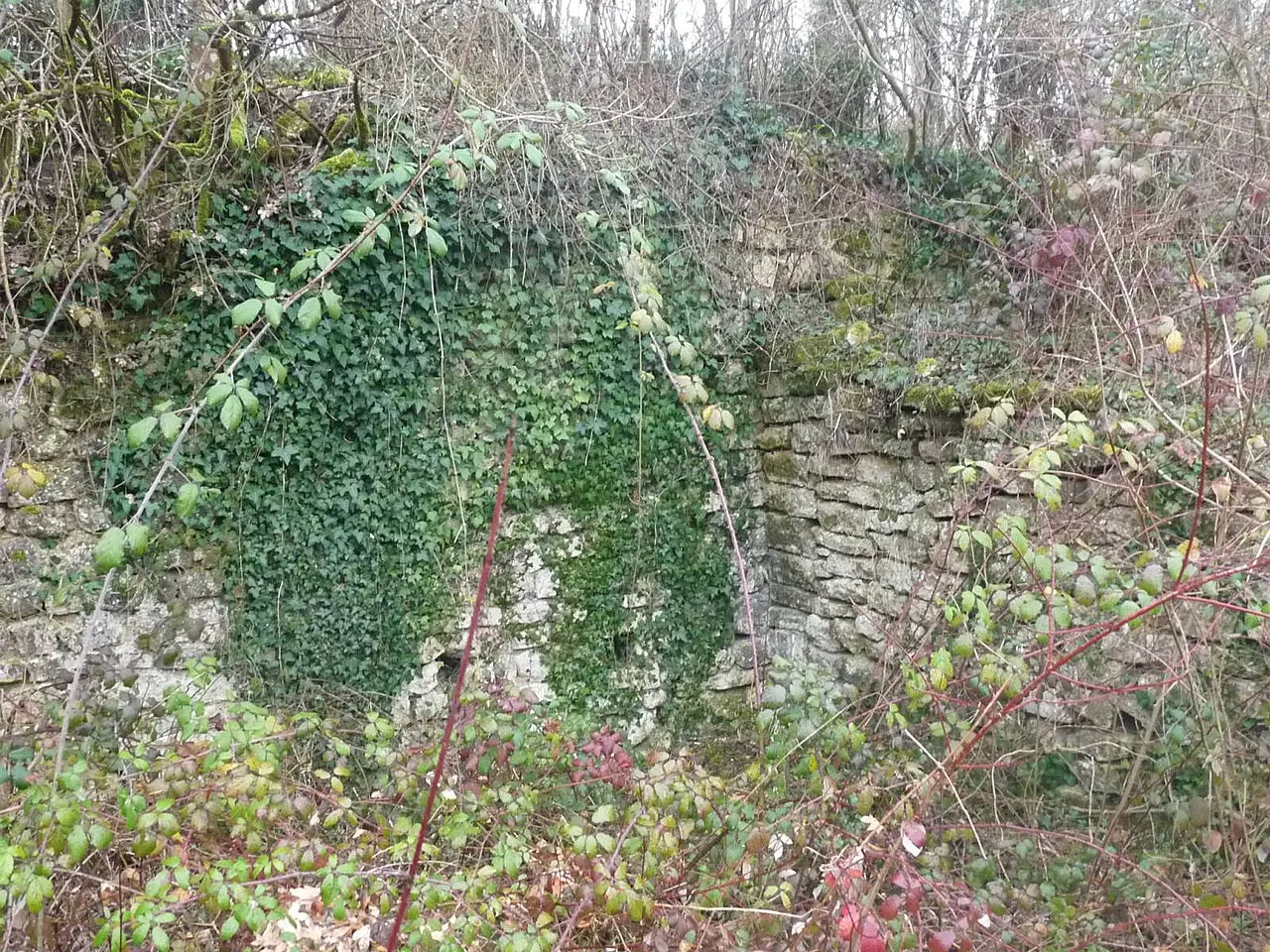 Castrum d’Andonne