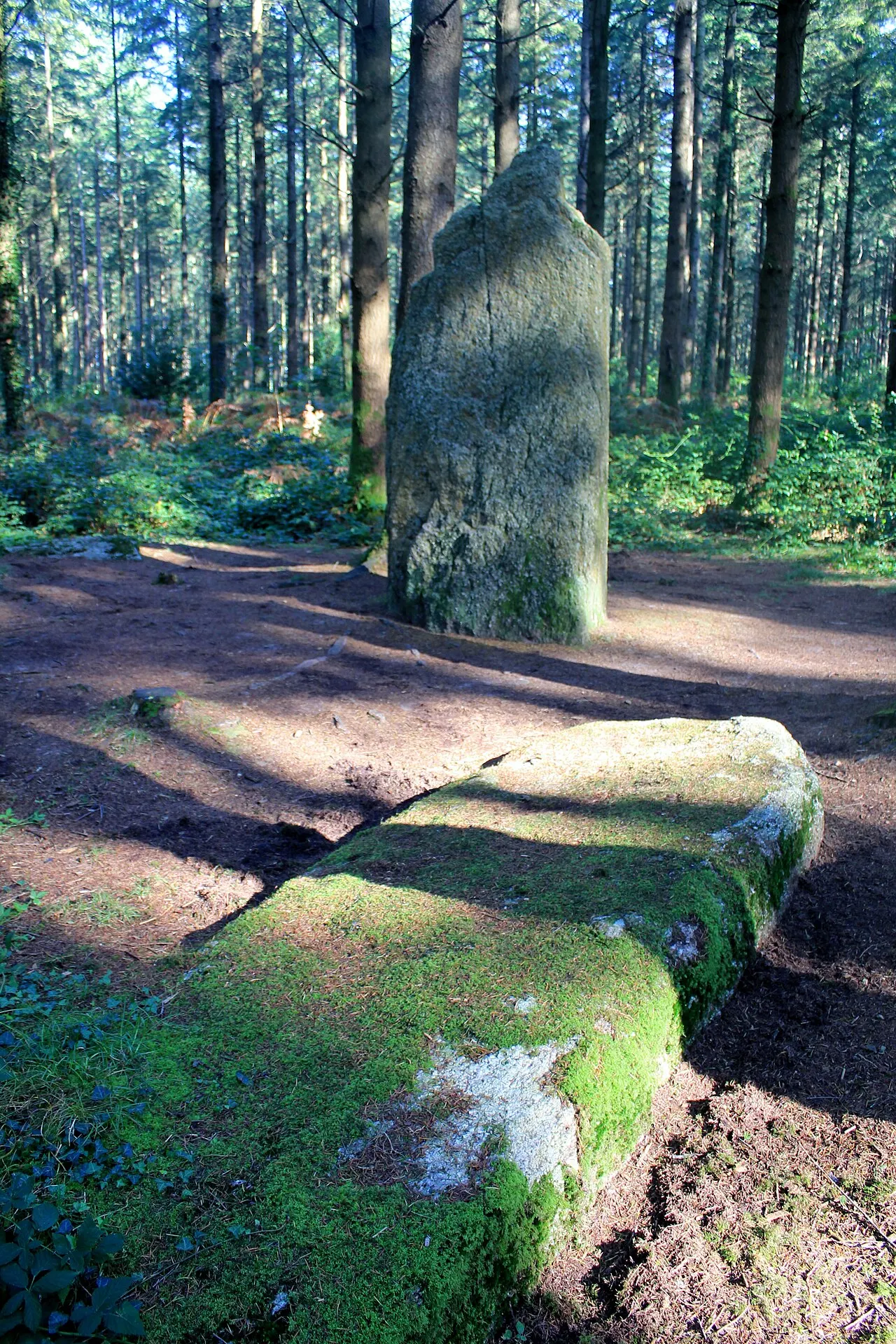 Deux menhirs