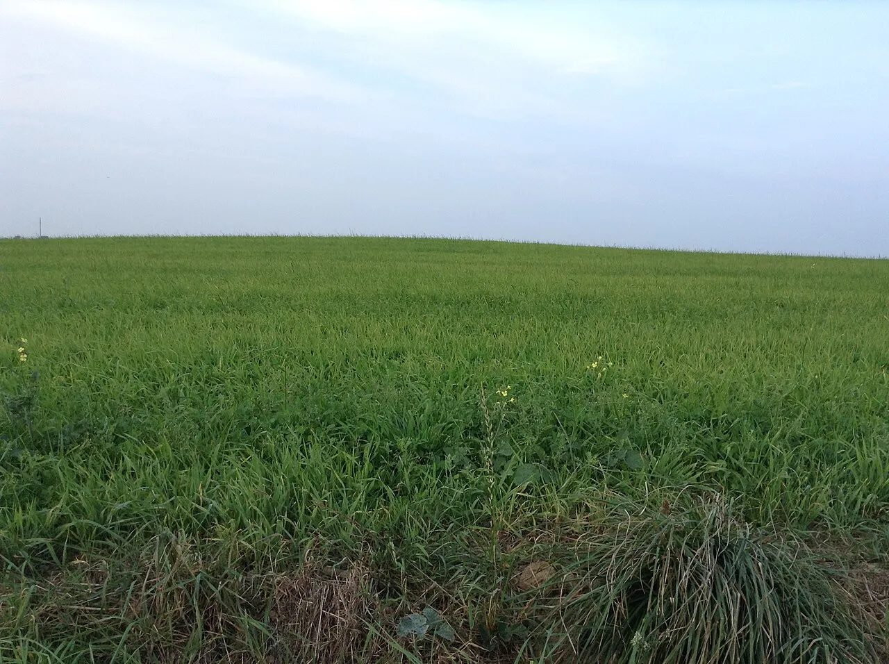 Tumulus de Rubrat