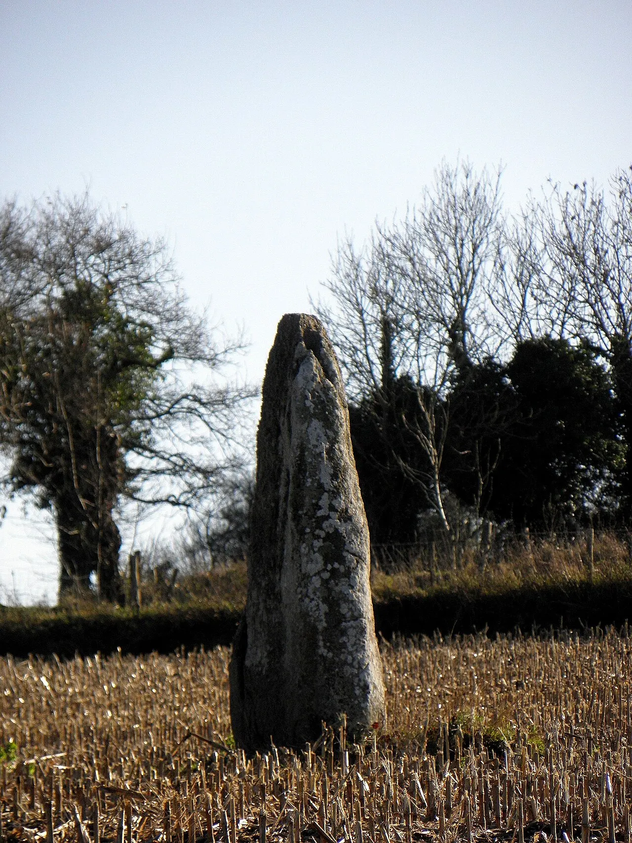 Menhir dit la Roche Longue