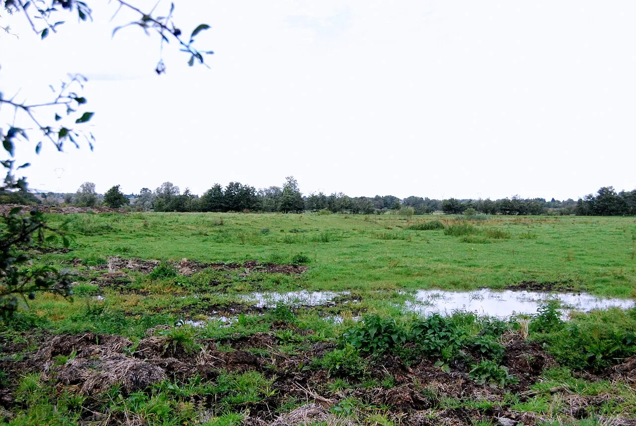 Motte féodale