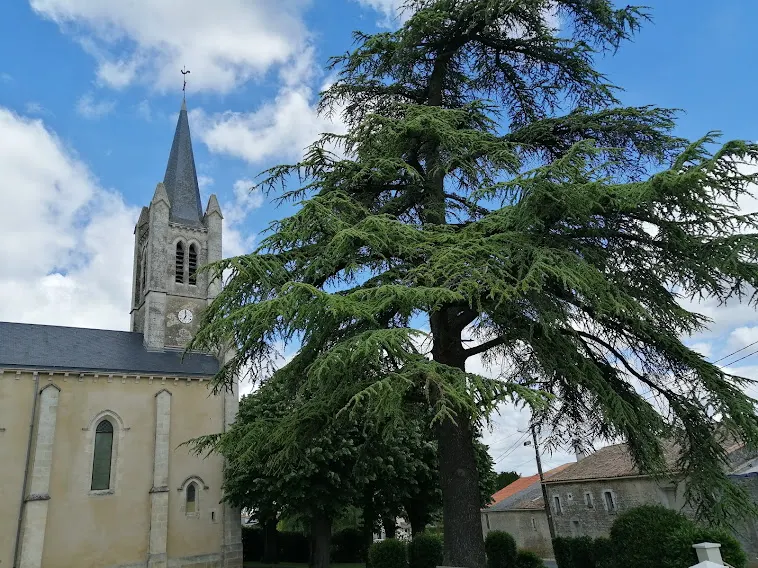 Église Saint-Vincent