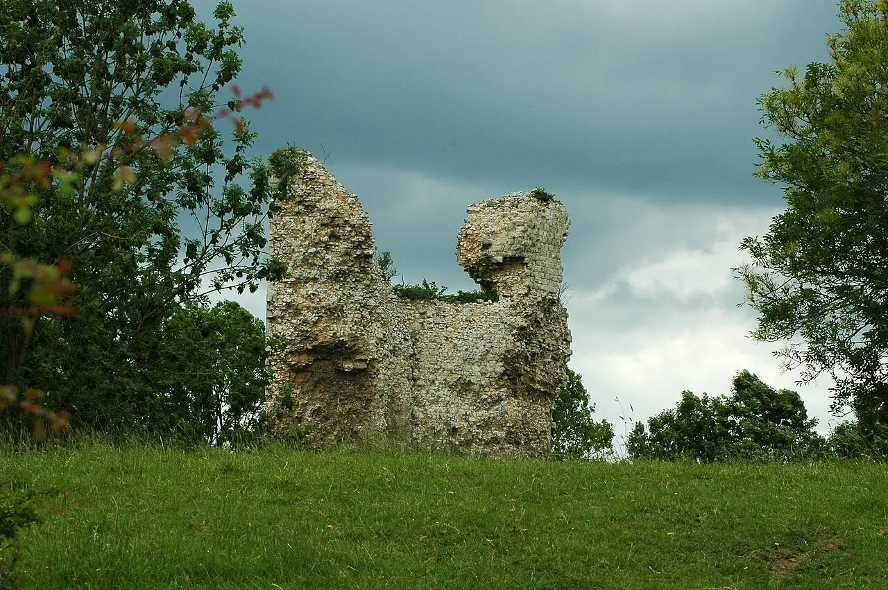 Ruines du donjon et motte