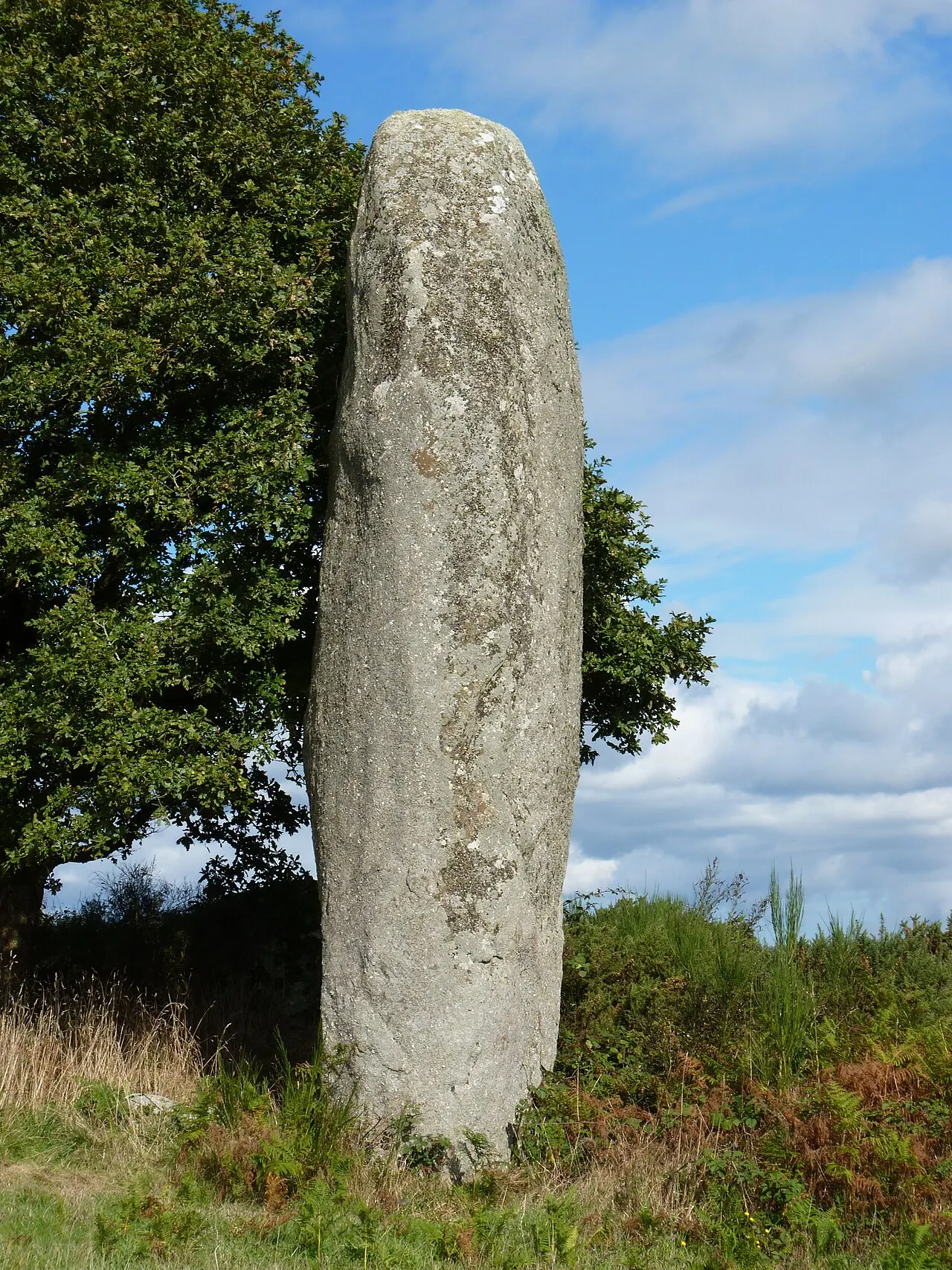 Menhir de Kergornec