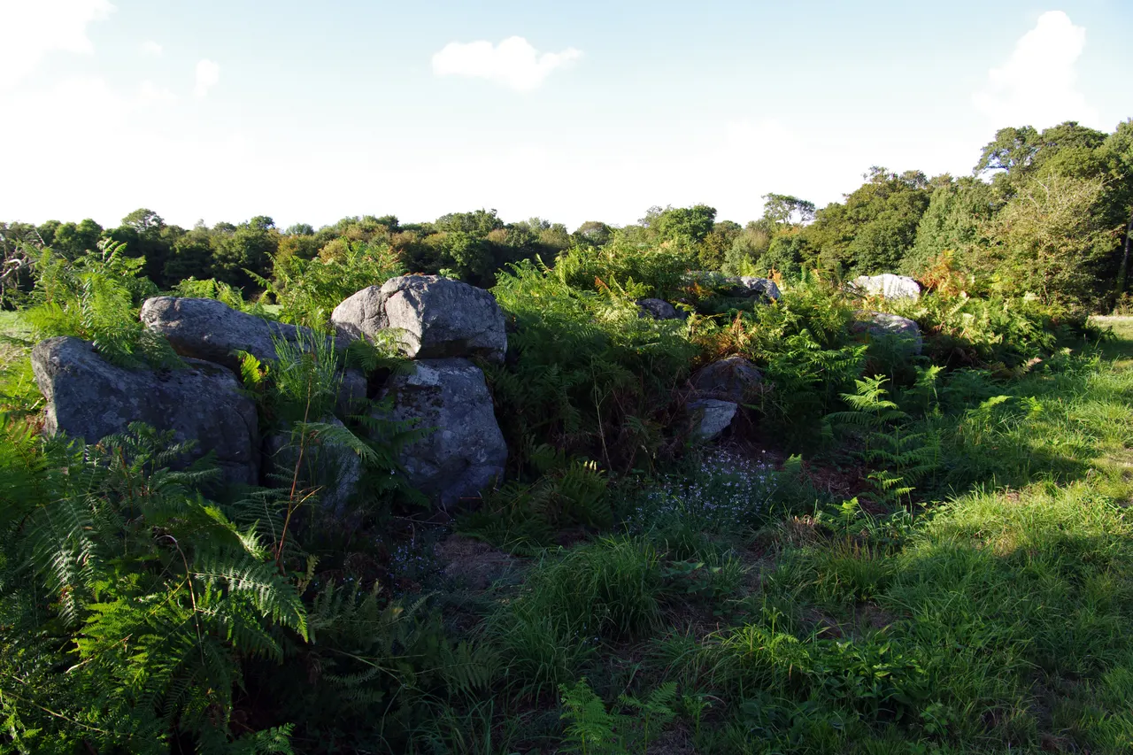 Allée couverte et alignement de menhirs indicateurs de Saint-André