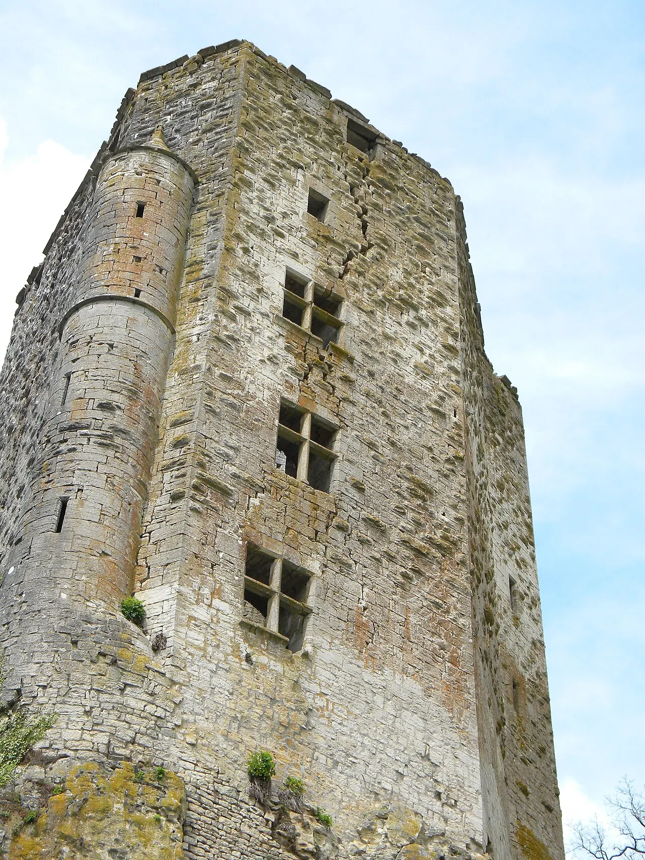Vestiges de l’Ancien Château (donjon)