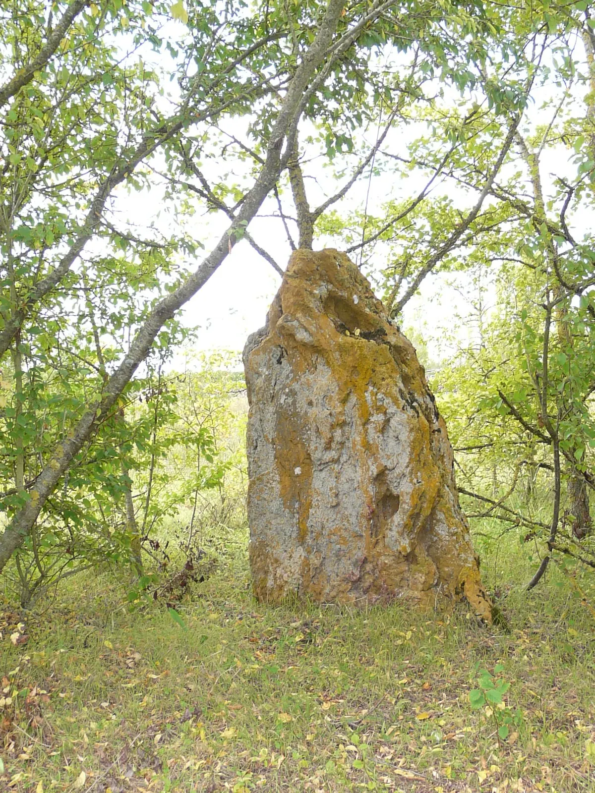 Menhir de Vintray