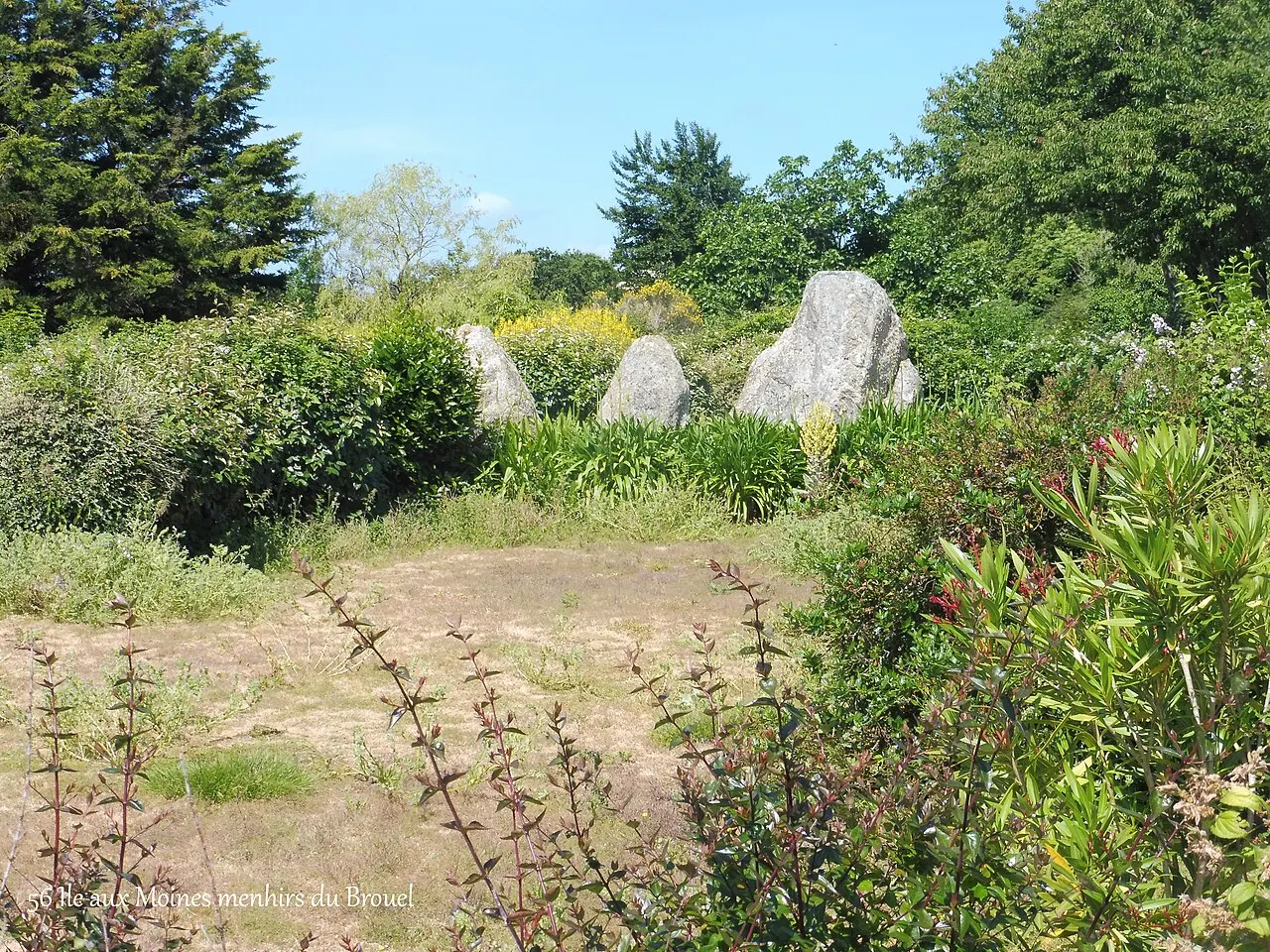 Menhirs de Brouel