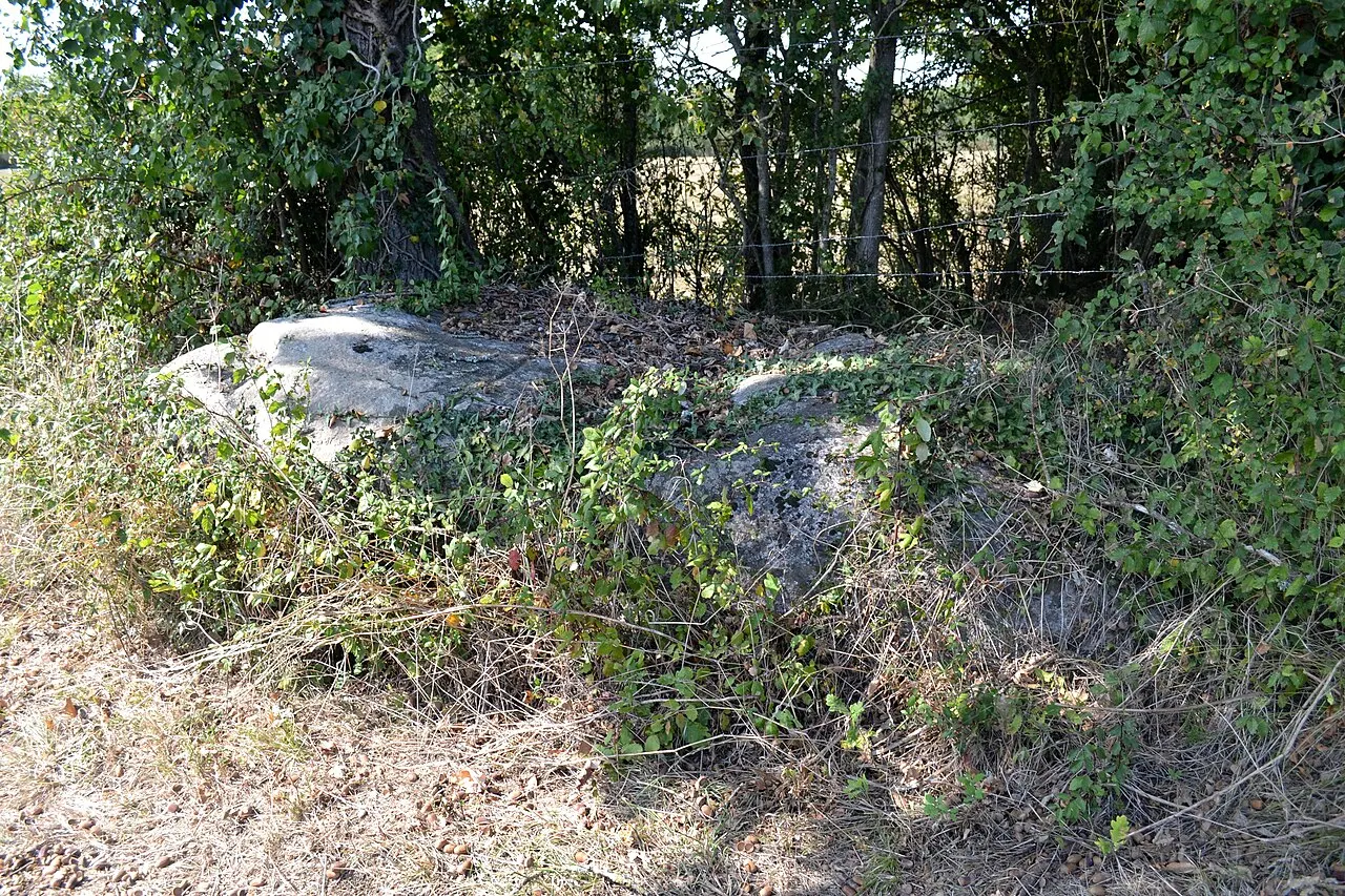 Menhir dit le Champ du Rocher