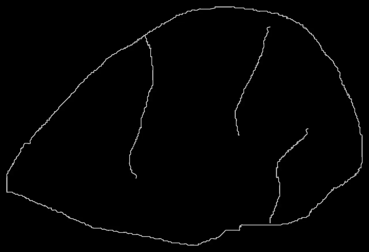 Pétroglyphes