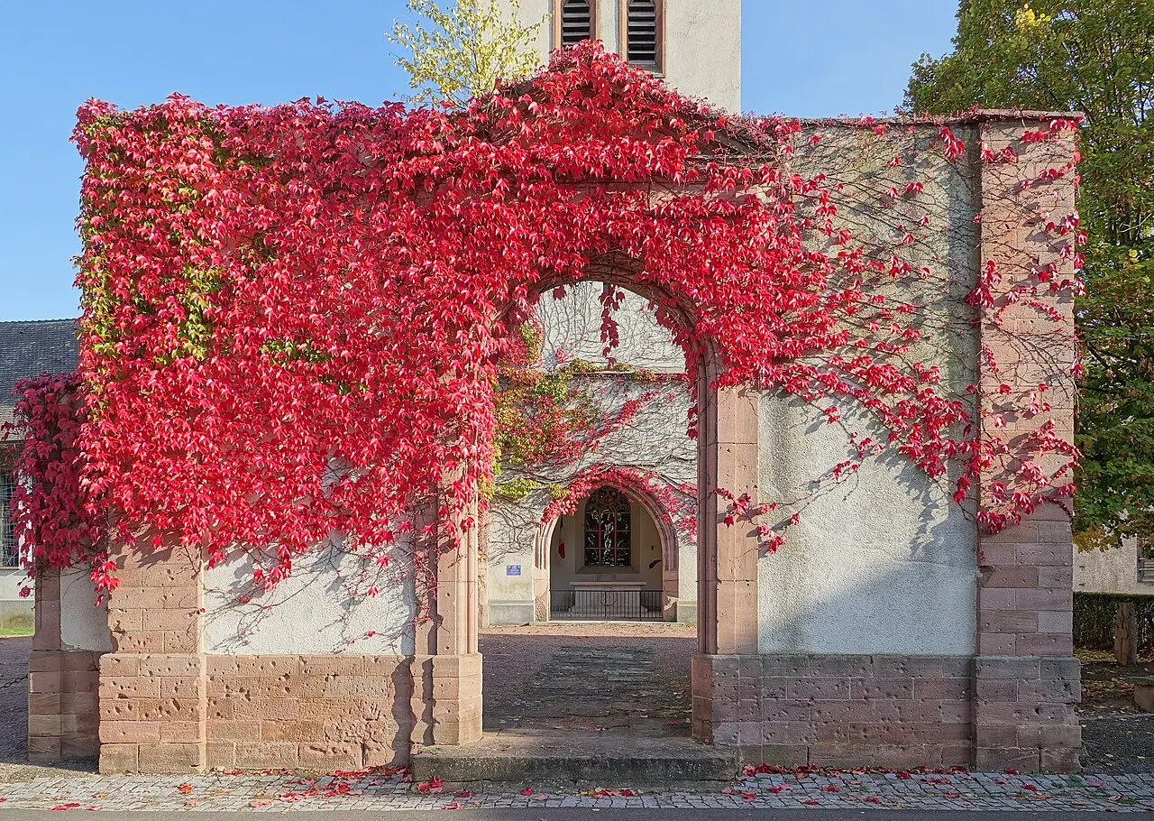 Église protestante
