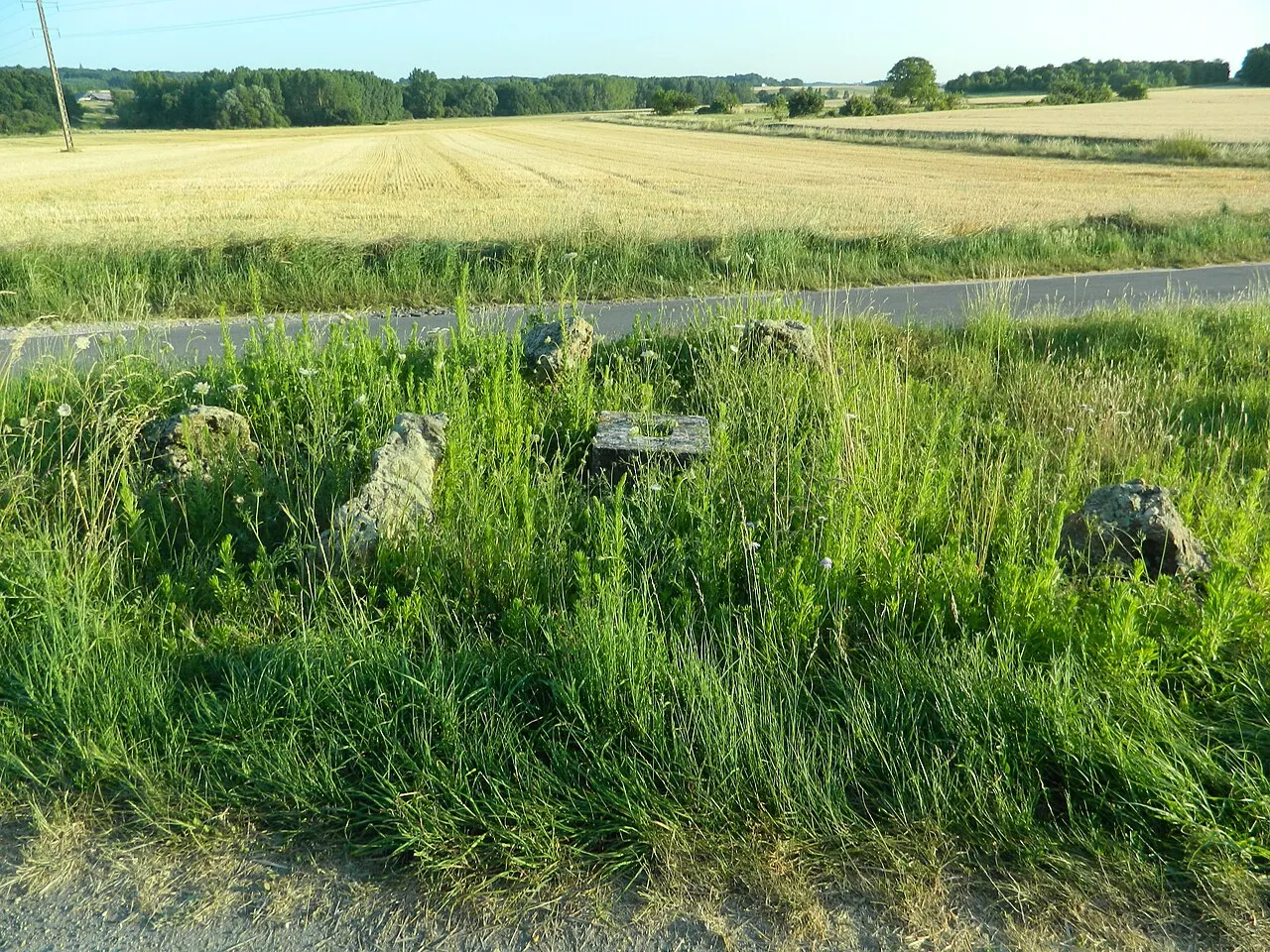 Cromlech de la Croix Bonnin
