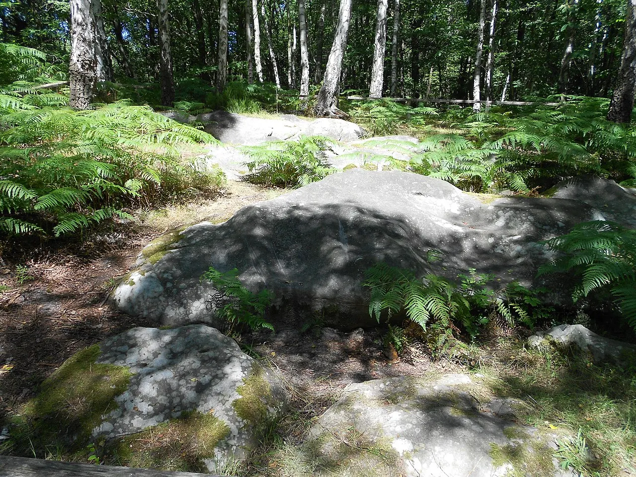 Polissoir de la forêt du Lay