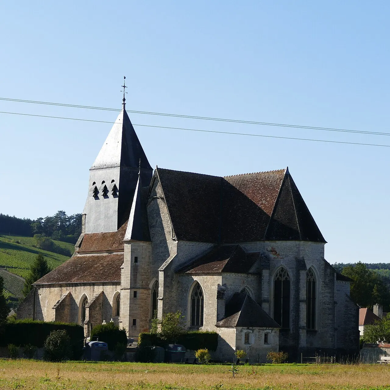 Polisot