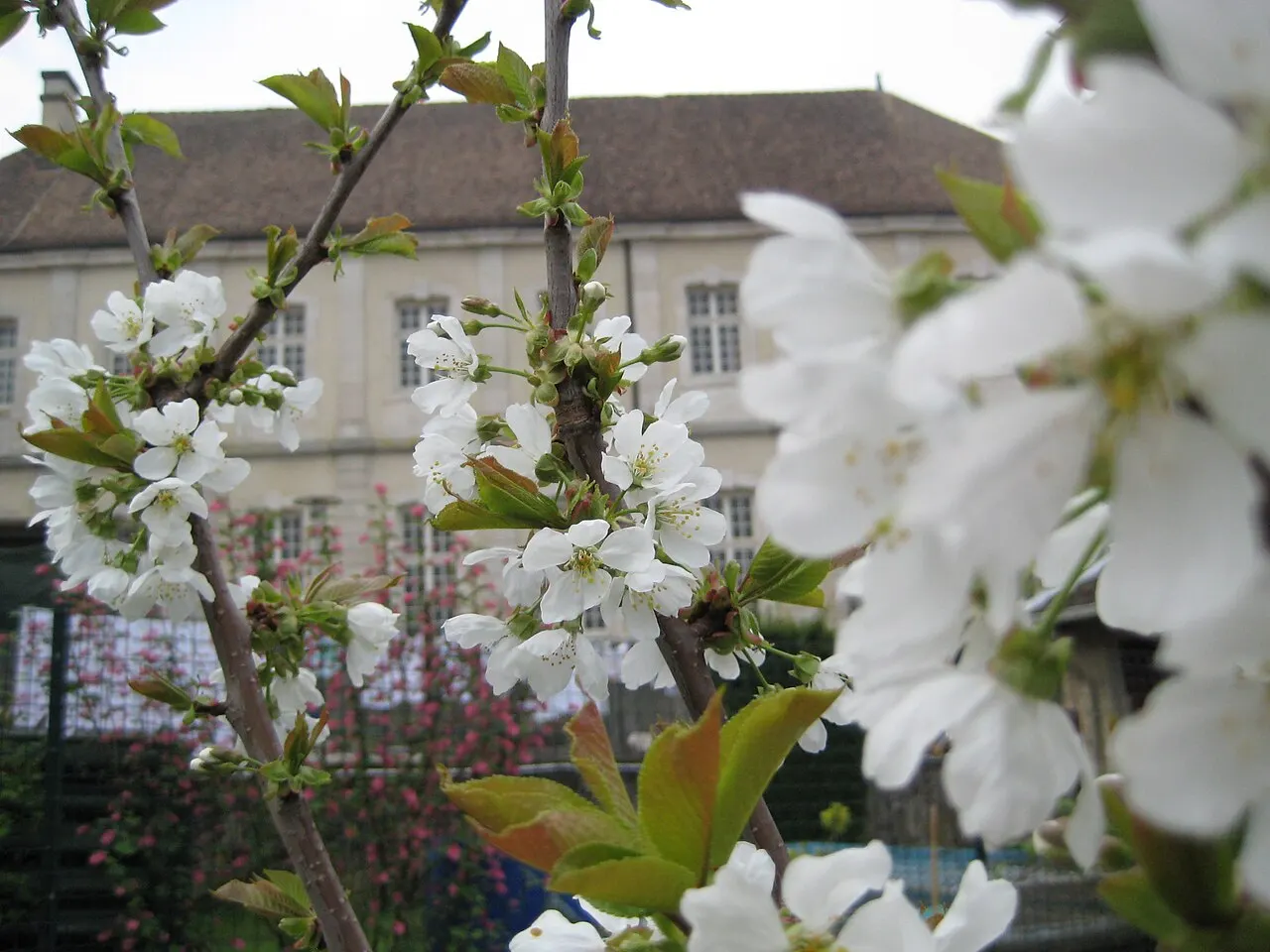 Prieuré de Breuil