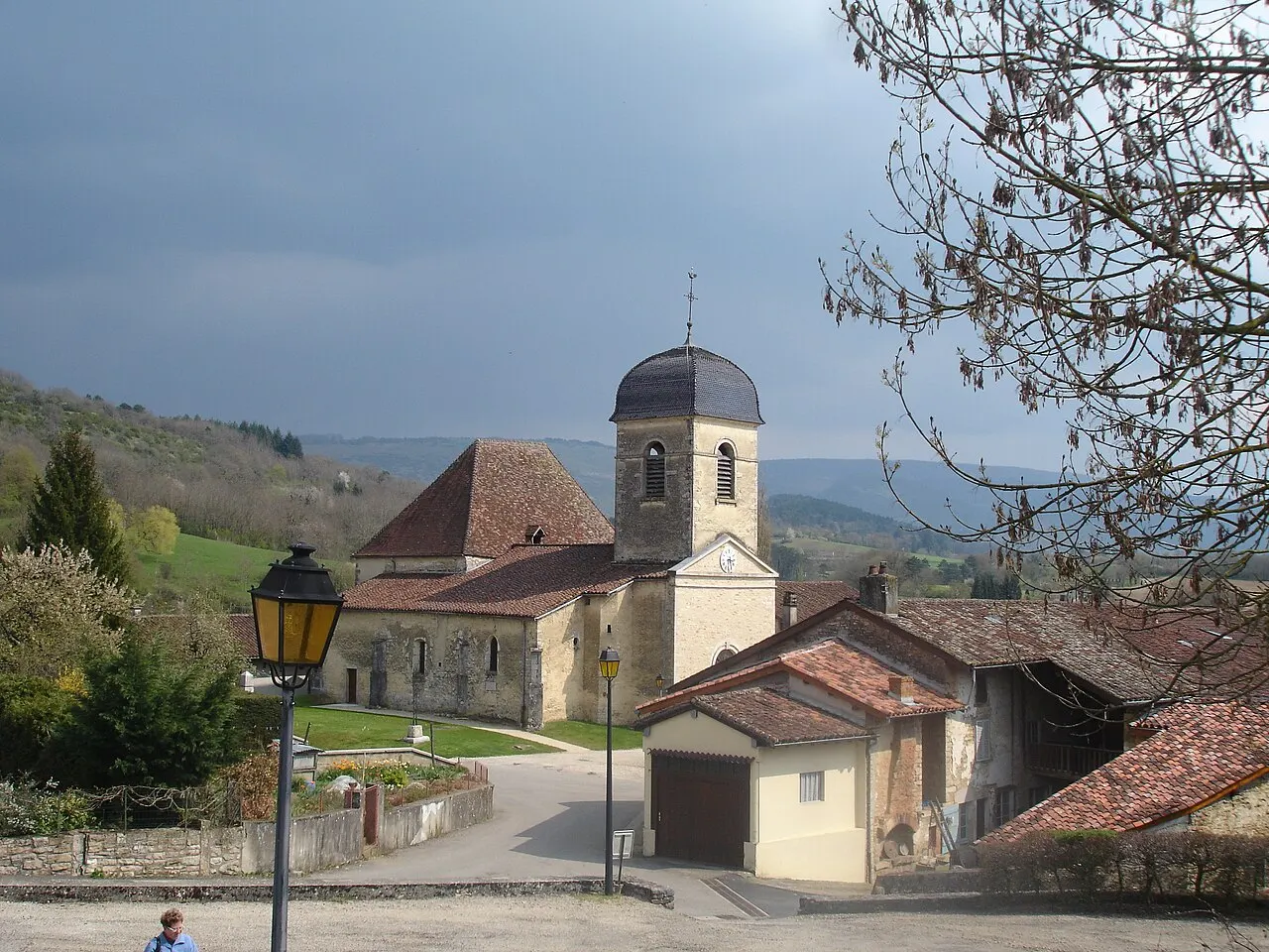 Verjon