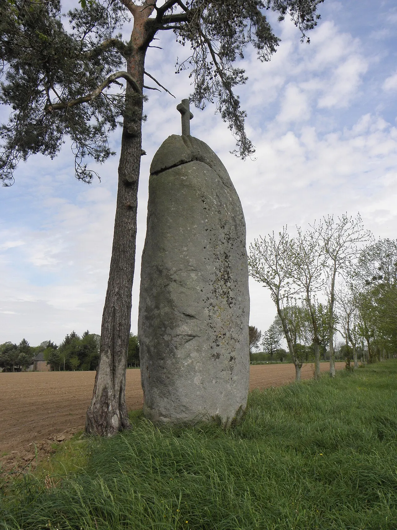 Menhir La Pierre-Longue