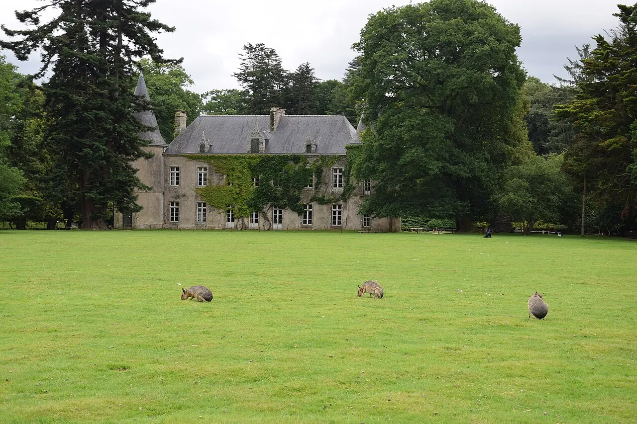 Parc animalier et botanique de Branféré