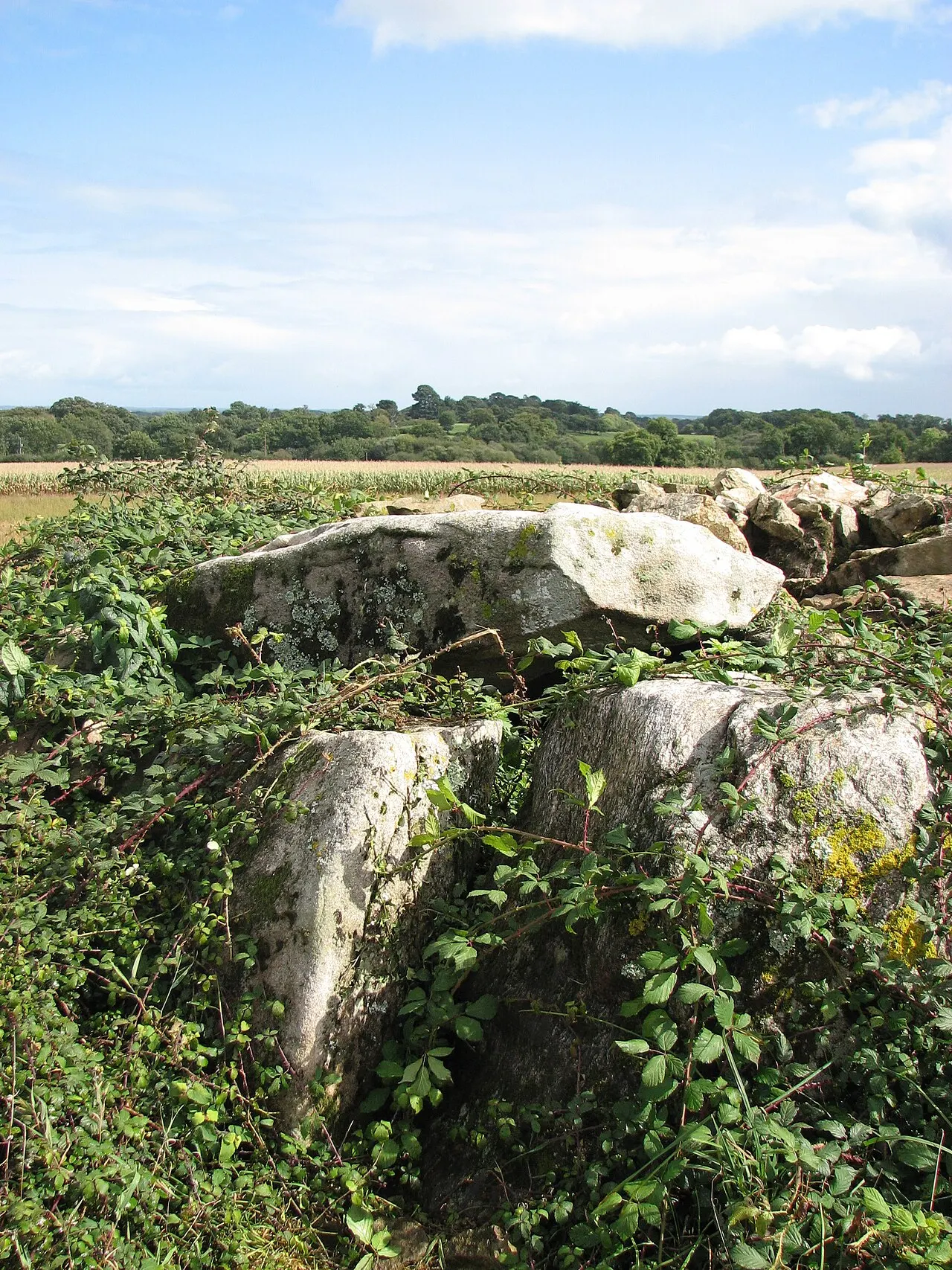 Dolmen de Ker Henry