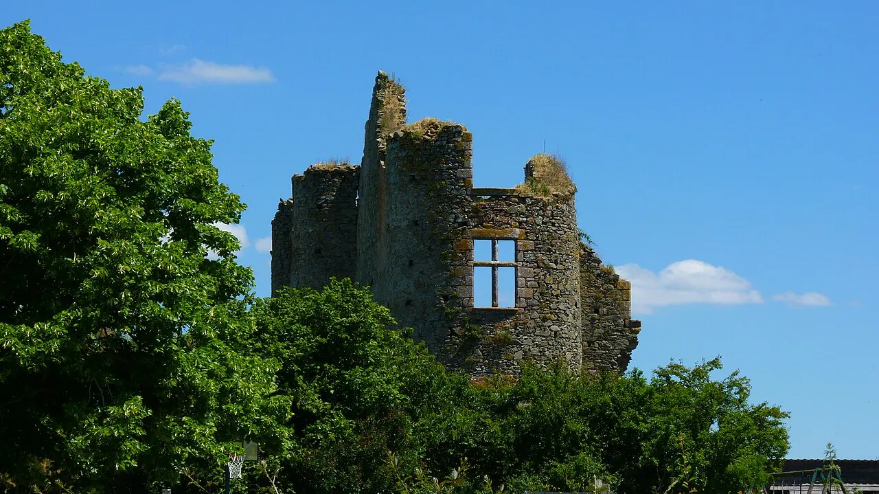 Château des Hayes Gasselin (ruines)