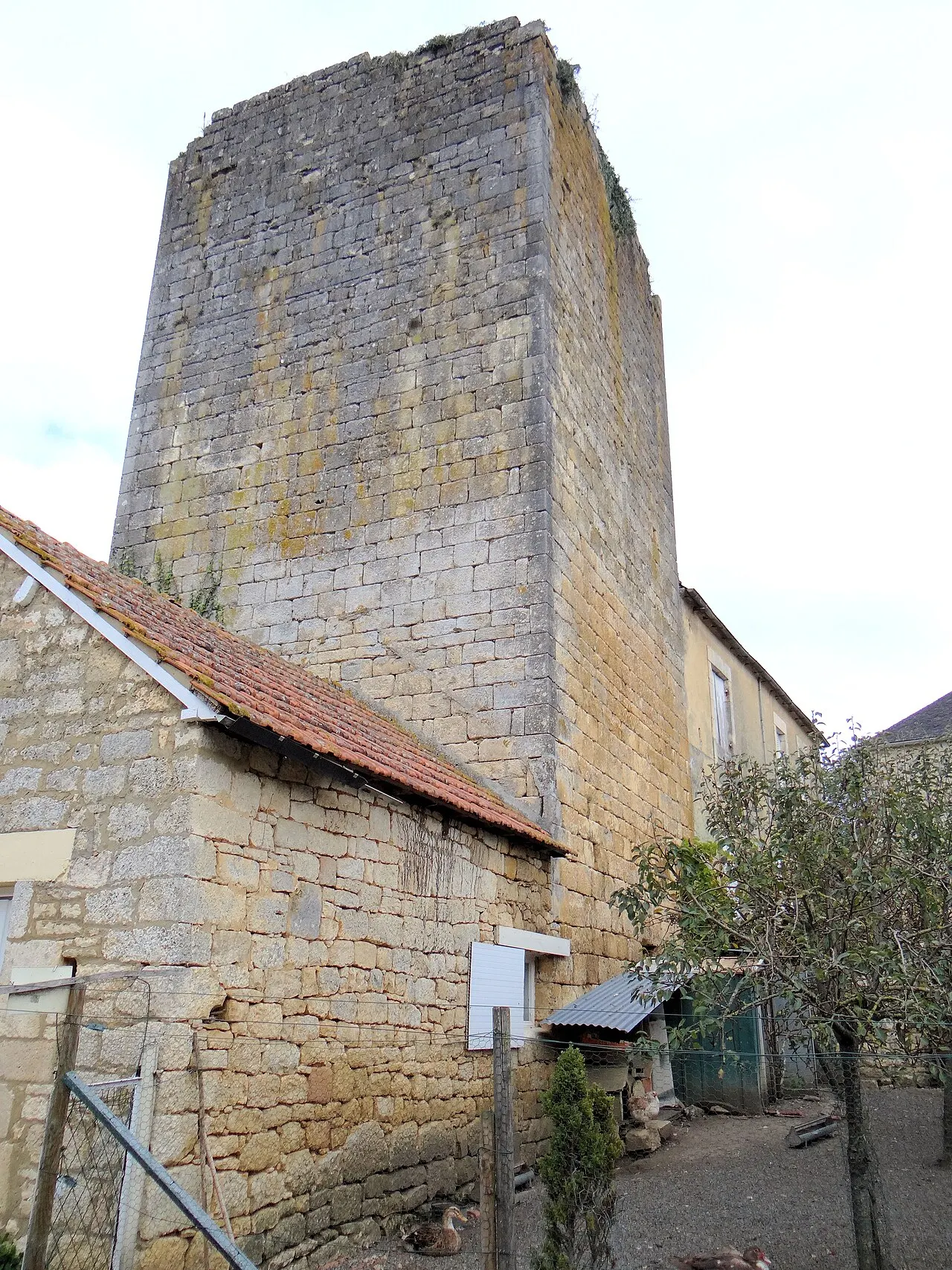 Donjon