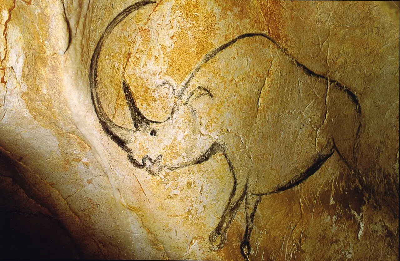 Grotte Chauvet