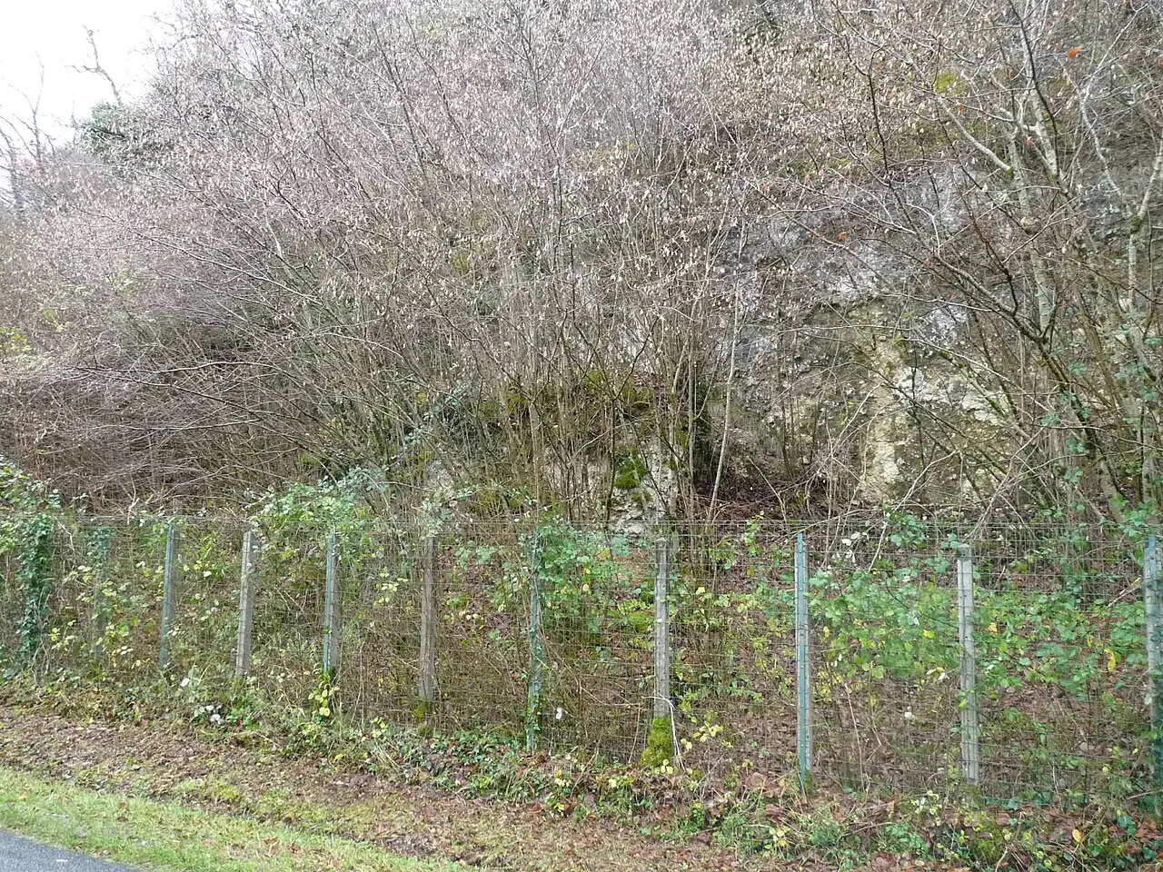 Gisement de la Quina