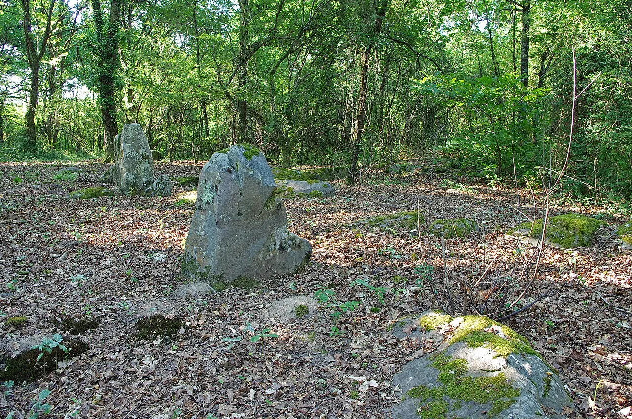 Deux menhirs à Tréfoux
