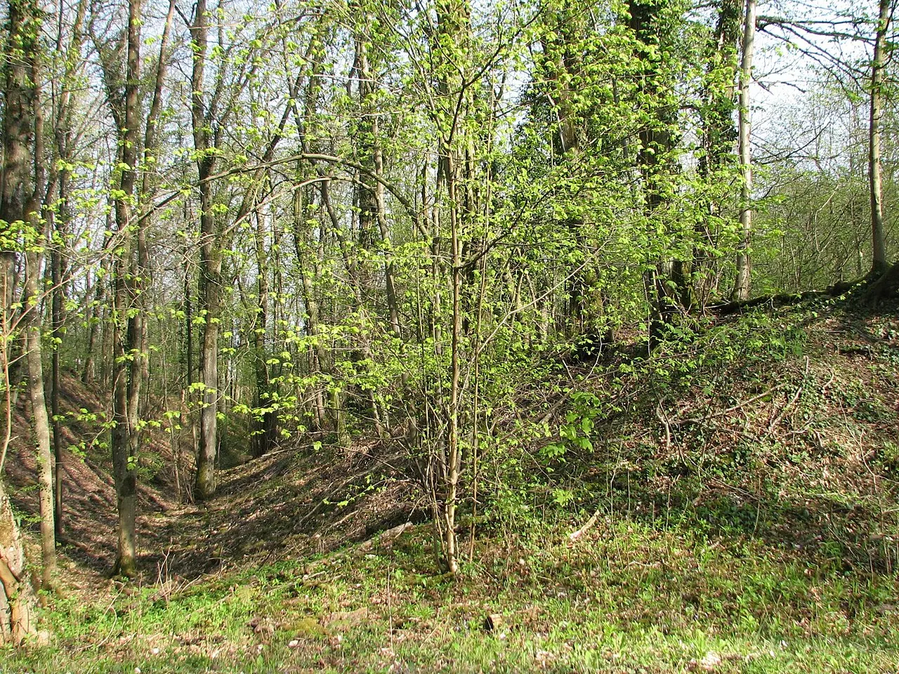 Camp d’Affrique