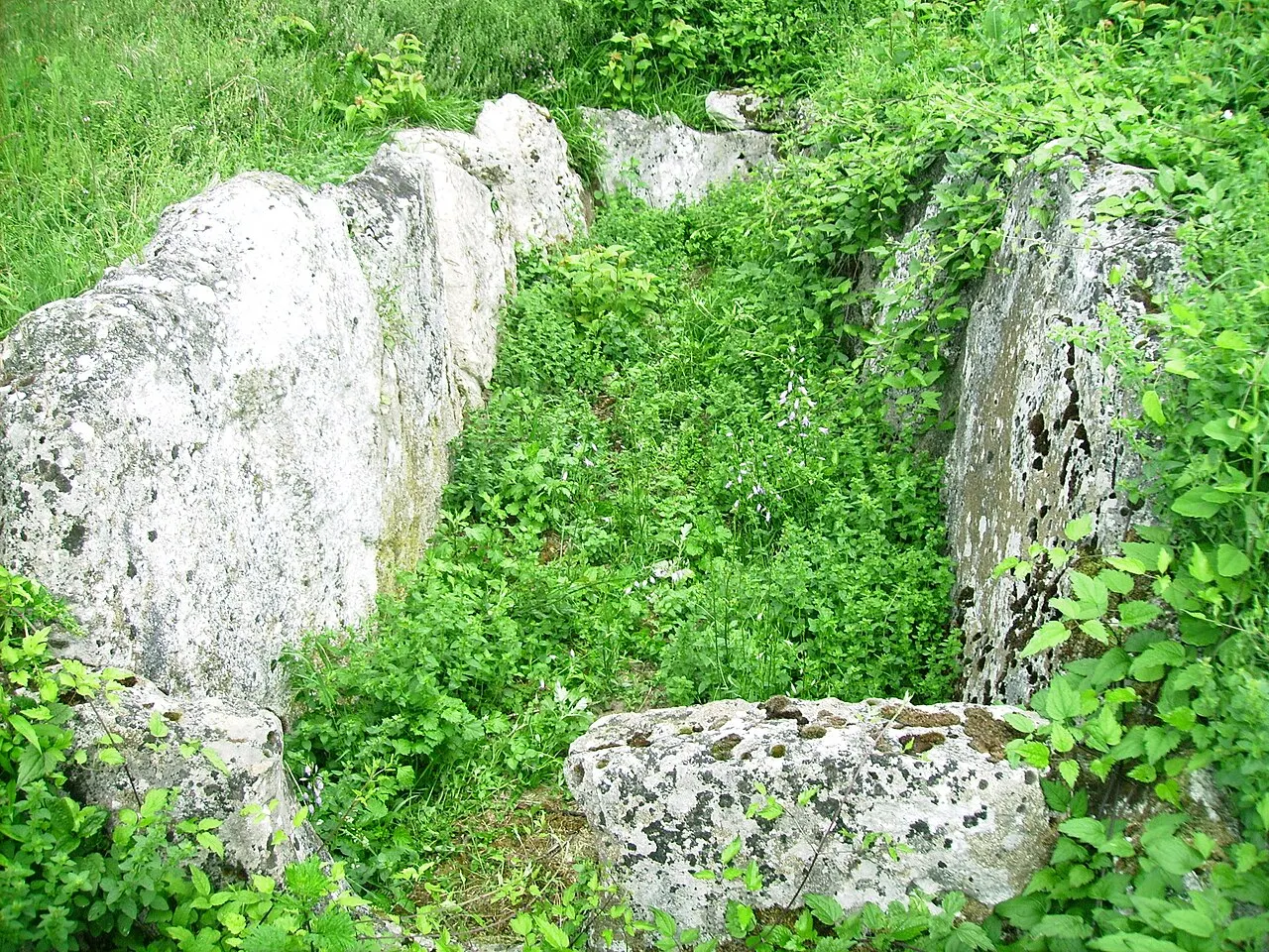 Allée Mégalithique du Blanc Val