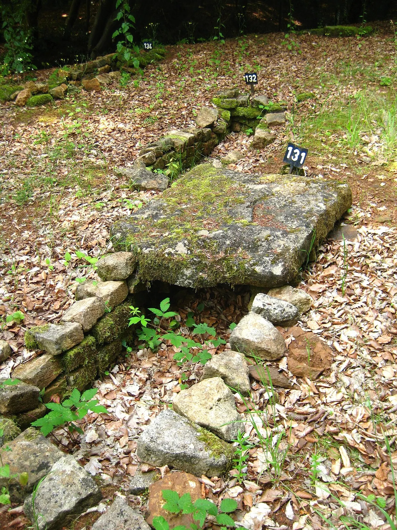 Nécropole Mérovingienne