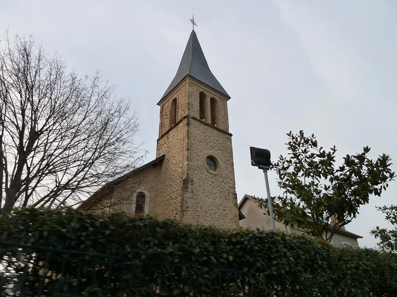 Vignes