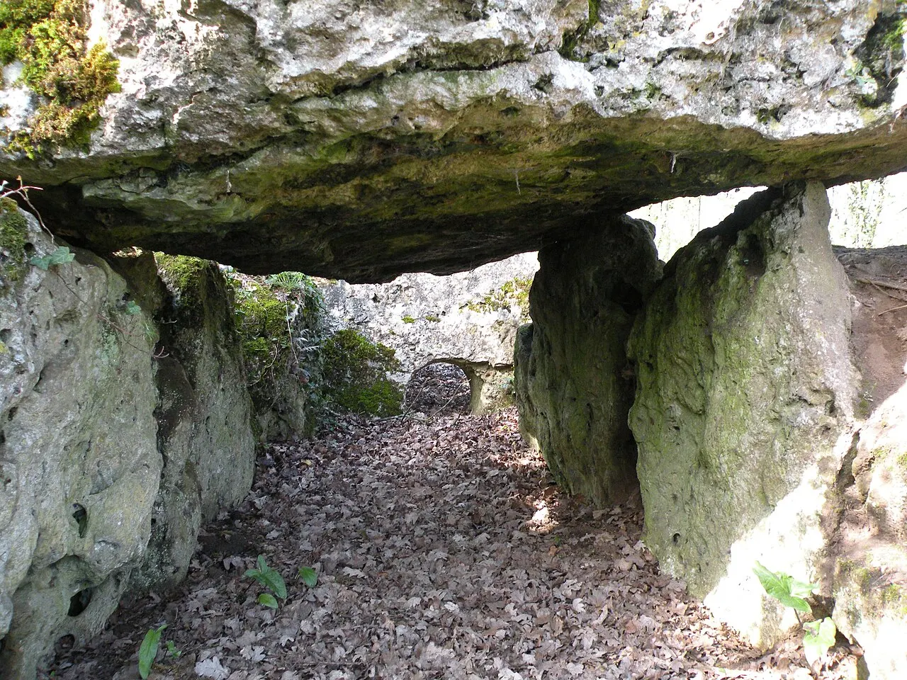 Dolmen de la pierre aux Fées